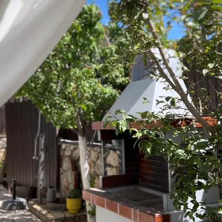 ヴィラ Alseides *